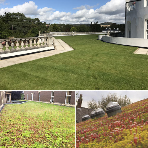 green roofing Bristol