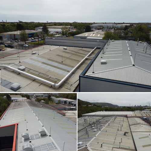 TCRC-Bird-Netting felt roofing in Bristol